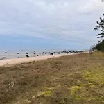 Privaatne Saunaga Puhkemaja Lahemaa Rahvuspargis-altja *