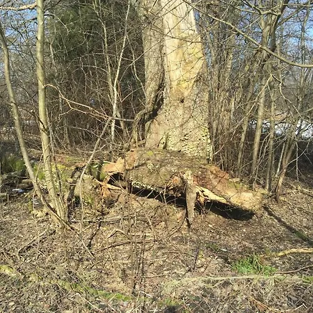 Villa-cottage With Sauna *