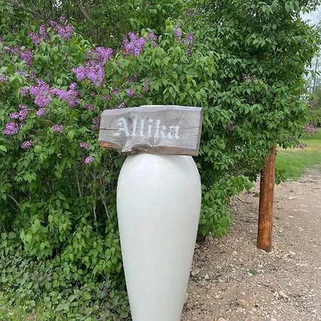 Villa-cottage With Sauna