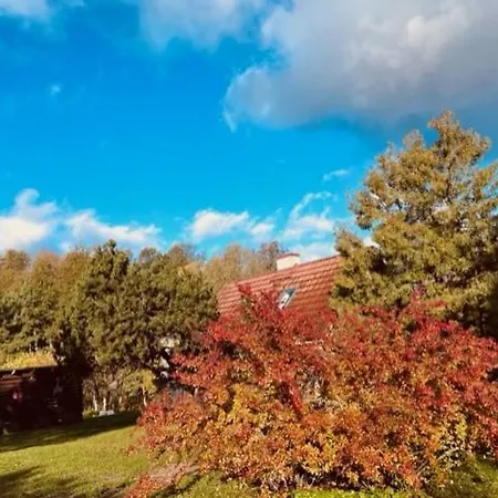 Villa-cottage With Sauna Altja