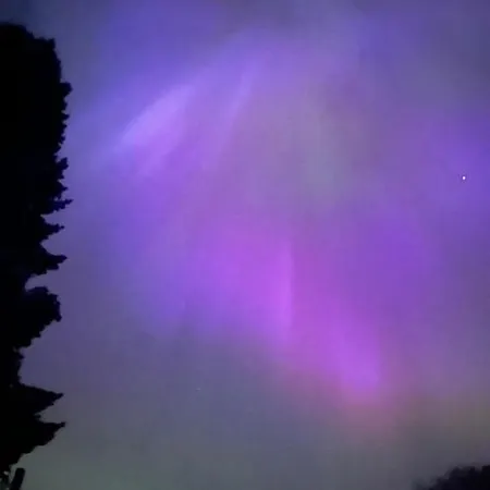 Villa-cottage With Sauna Lägenhet