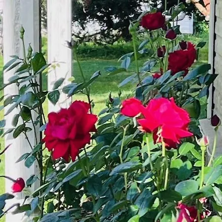 Villa-cottage With Sauna 아파트 *