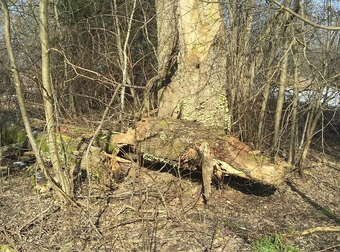 Villa-cottage With Sauna *
