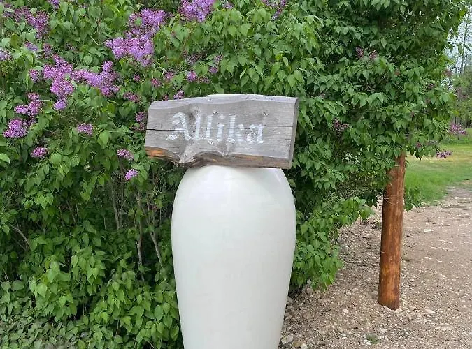 Villa-cottage With Sauna