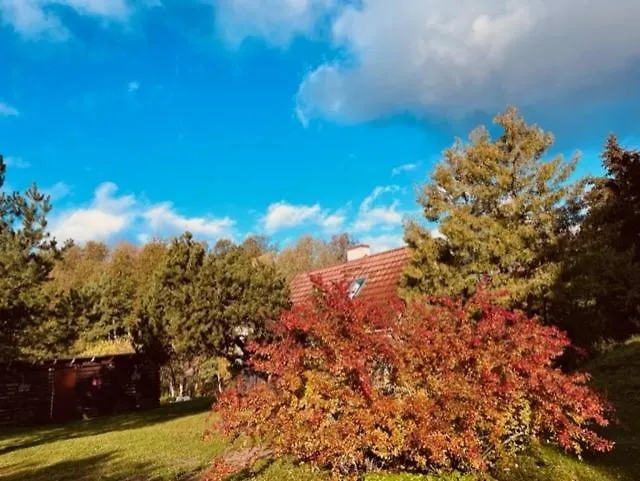 Villa-cottage With Sauna Altja