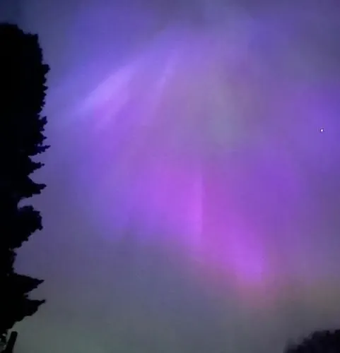 Villa-cottage With Sauna Appartamento