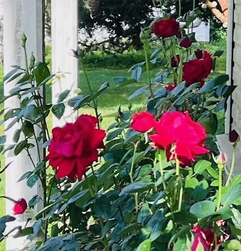 Villa-cottage With Sauna Appartamento *