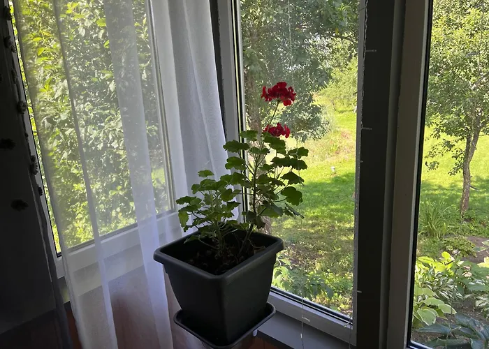 Villa-cottage With Sauna Appartamento *